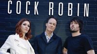 Cock Robin - Pop