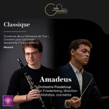 Orchestre Amadeus - Concert à Paris au SALLE GAVEAU le 10 octobre 2026