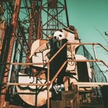 Amaury Faye Quartet - Concert à Marciac au L'Astrada le 13 juin 2026