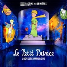 Bassins des Lumières - Concert à Bordeaux au Bassins des Lumières le 2 mai 2026