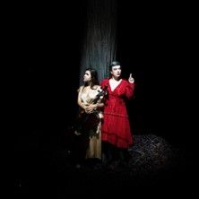 Birds on a Wire - Concert à Chalons En Champagne au La Comète Scène Nationale le 30 mai 2026