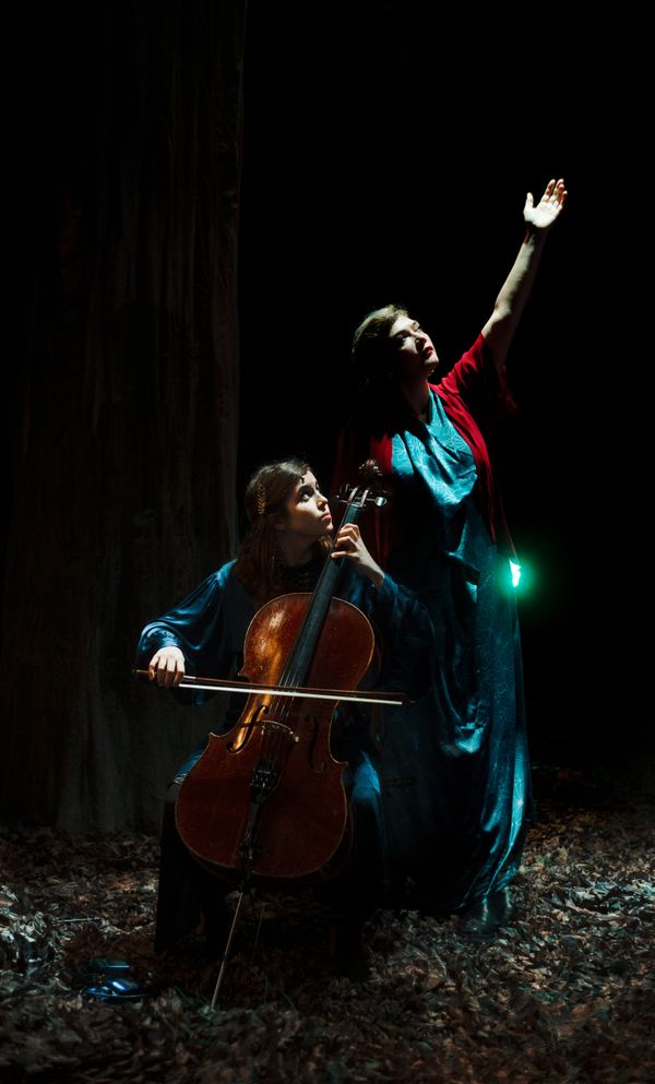 BIRDS ON A WIRE - Concert à Plaisir au Théâtre Coluche le 29 mai 2026