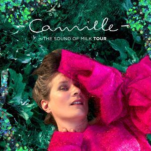 Camille - Concert à Besancon au LA RODIA le 19 novembre 2026