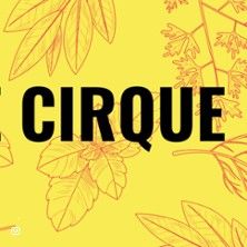 Chantiers de Cirque - Concert à Toulouse au THEATRE DU GRAND ROND le 6 juin 2026
