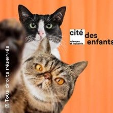 Cité des Sciences et de l'Industrie - Concert à Paris au Cité des Sciences et de l'Industrie le 10 mai 2026