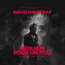David Hallyday - Concert à Aix-en-provence au Arena du Pays d'Aix le 2 décembre 2026