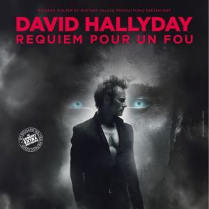 David Hallyday - Concert à Les Milles au Arena du Pays d'Aix le 2 décembre 2026