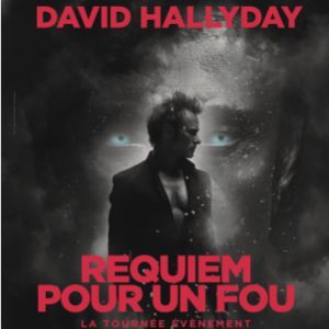 David Hallyday - Concert à Cournon au Zénith d'Auvergne 63800 le 22 novembre 2026