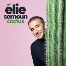 Elie Semoun - Concert à Franconville au THEATRE JEAN COCTEAU le 12 mai 2026
