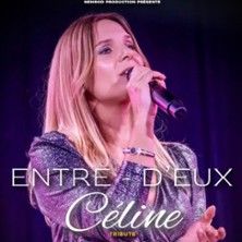 Destin - Tribute Céline Dion - Concert à Le Havre au THEATRE LE NORMANDY le 19 février 2027