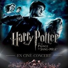 Harry Potter - Concert à Lille au Zénith Arena de Lille le 2 janvier 2027