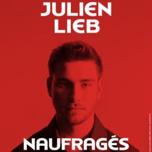 Julien Lieb - Concert à Joue Les Tours au Espace Malraux - Joué les tours le 8 novembre 2026