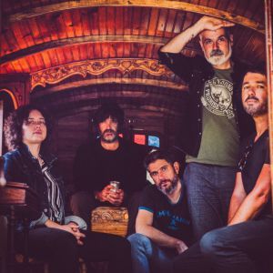 La Maison Tellier a 20 ans - Concert à Villeurbanne au Transbordeur le 6 mai 2026