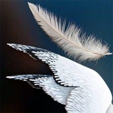 La Mouette - Concert à Marseille au Théâtre du Carré Rond le 3 mai 2026
