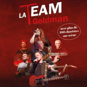 LA TEAM GOLDMAN - Concert à Cournon au Zénith d'Auvergne 63800 le 4 décembre 2026