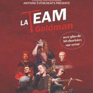 LA TEAM GOLDMAN - Concert à Lyon au AMPHITHEATRE CITE INTERNATIONALE le 14 novembre 2026