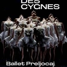 Le Lac des Cygnes - Ballet Preljocaj - Concert à Boulogne Billancourt au La Seine Musicale - La Grande Seine le 26 décembre 2026