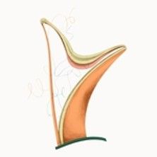 Les Lundis Musicaux de l'Athénée - Concert à Paris au Athénée - Théâtre Louis-Jouvet le 18 mai 2026