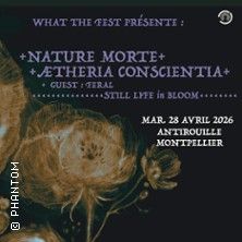 Nature Morte - Concert à Montpellier au L'Antirouille le 28 avril 2026