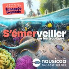 Nausicaa - Concert à Boulogne-sur-mer au Nausicaà Centre National de la Mer le 29 novembre 2026
