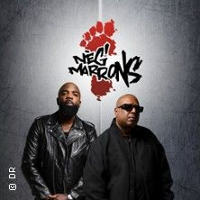 Neg'Marrons, Nèg' Marrons - Concert à Le Havre au LE TETRIS le 6 novembre 2026