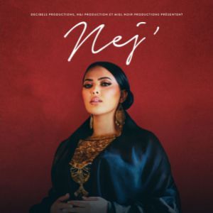 NEJ' - Concert à Caen au ZENITH DE CAEN le 11 octobre 2026