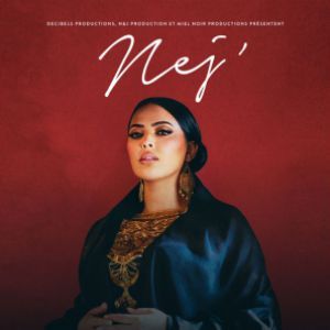 NEJ' - Concert à Amiens au ZENITH D'AMIENS le 13 novembre 2026