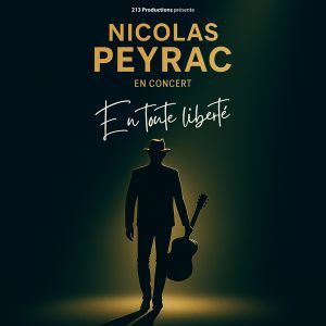 Nicolas Peyrac - Concert à Tournus au Salle des Arcades du Pas Fleury le 9 janvier 2027