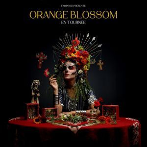 Orange Blossom - Concert à Rennes au Le MeM le 13 février 2027