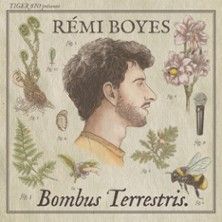 Rémi Boyes - Concert à Paris au Le Point-Virgule le 2 mai 2026