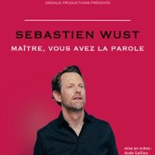 Sébastien Wust - Concert à Tours au Comédie de Tours le 15 octobre 2026