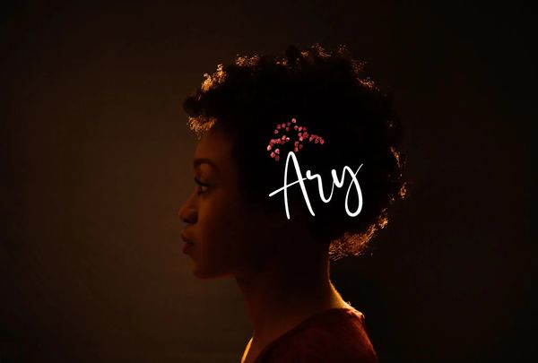 Soirée Ary : Folk et Blues au Loft Atelier 🎶 - Concert à La Riche au Loft atelier le 25 avril 2026