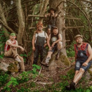 STEVENSEAGULLS + INVITES - Concert à Meisenthal au HALLE VERRIERE le 19 mars 2027