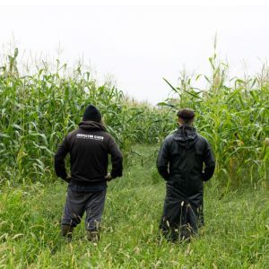 The Inspector Cluzo - Concert à Chelles au Les Cuizines le 11 décembre 2026