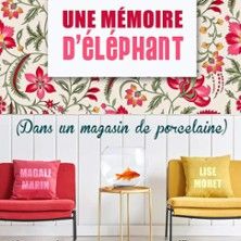 Une Mémoire d'Eléphant dans un Magasin de Porcelaine - Concert à Grenoble au COMEDIE DE GRENOBLE le 19 juin 2026